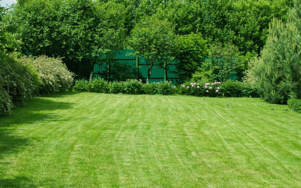 How long does Sunday Lawn Care take to work?
