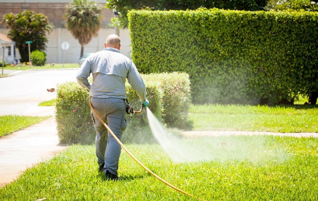 How does Sunday Lawn Care work for beginners?