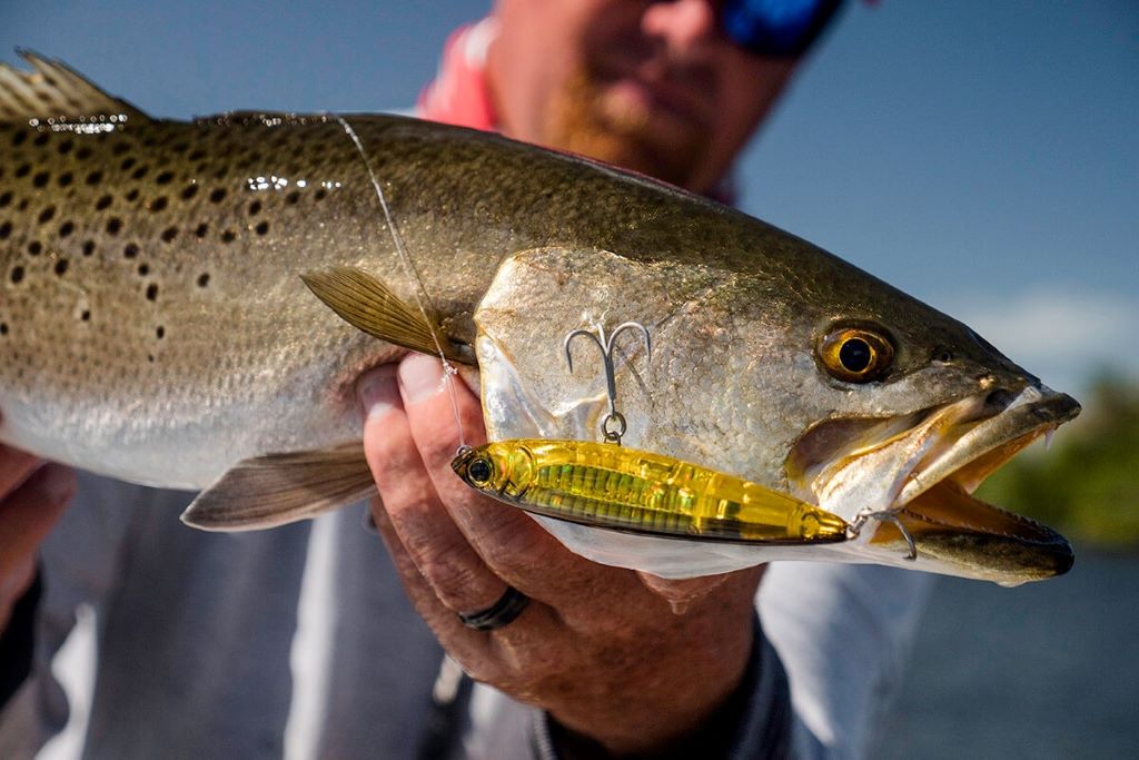 Water Clarity Guide for Choosing Baits Bass Fishing