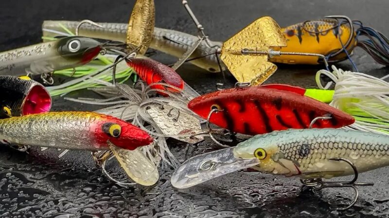 Spring Fishing Success: Best Baits and Techniques for Warming Waters