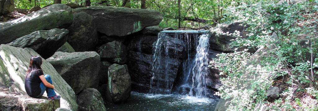 Central Park’s North Woods