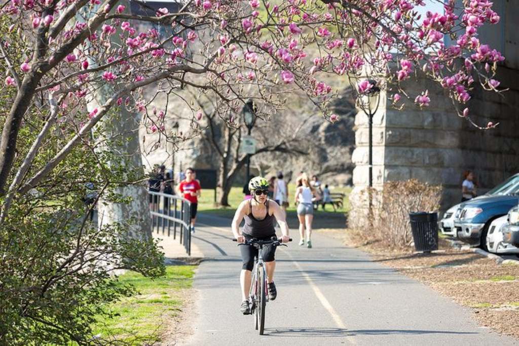 Philadelphia best bike trails