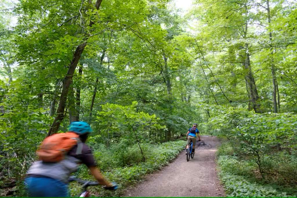 Wissahickon Valley Park