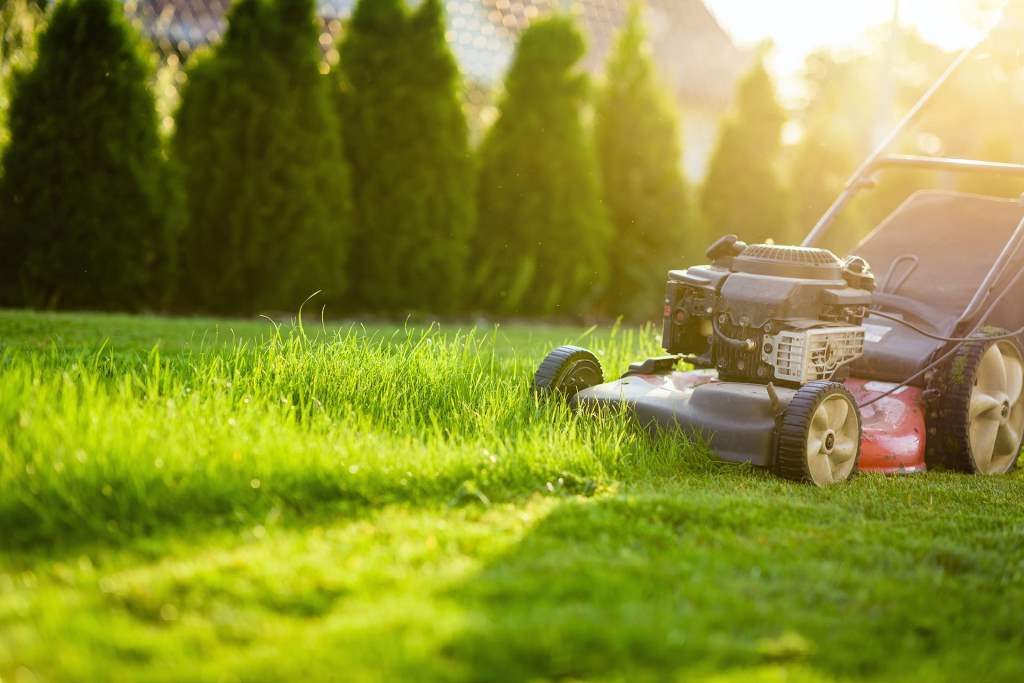 How to Use a Reel Mower for a Low-Cut Lawn