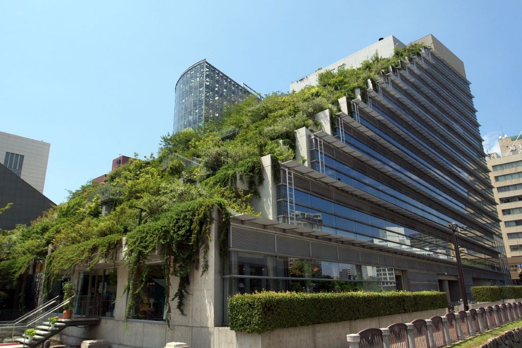 4 Green Roofs You Can Visit in Philadelphia