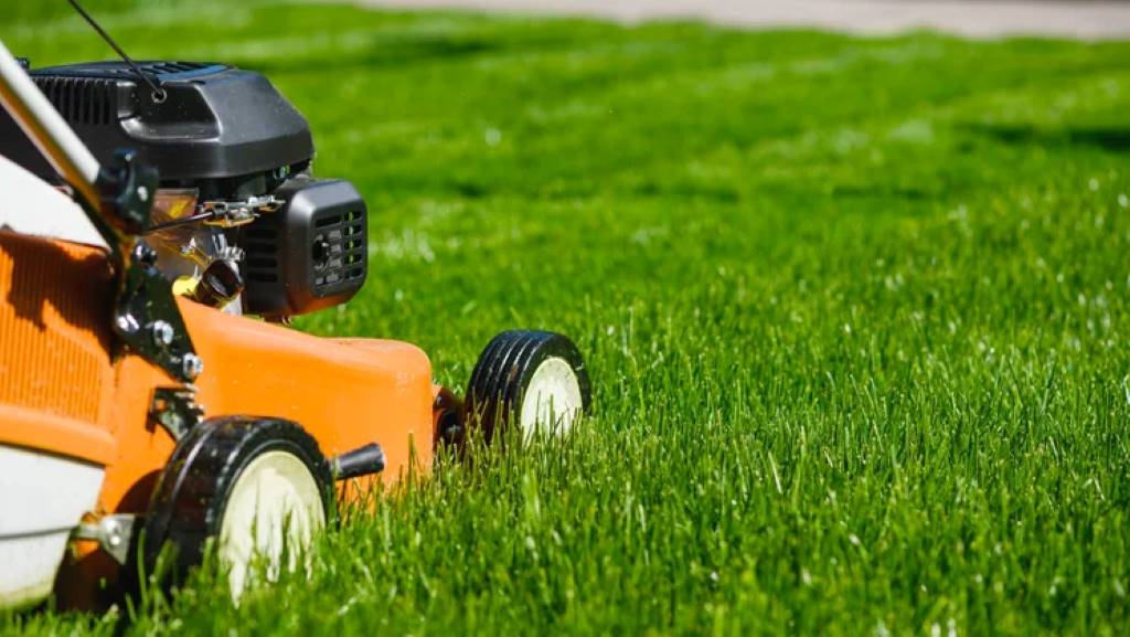 mower for a low-cut lawn