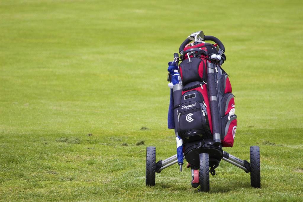 vintage leather golf bag