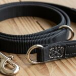 How to Find a Cheap Dog Leash That Still Lasts for Years